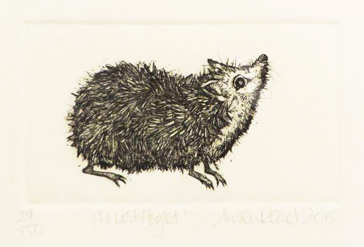 Lost Hoglet